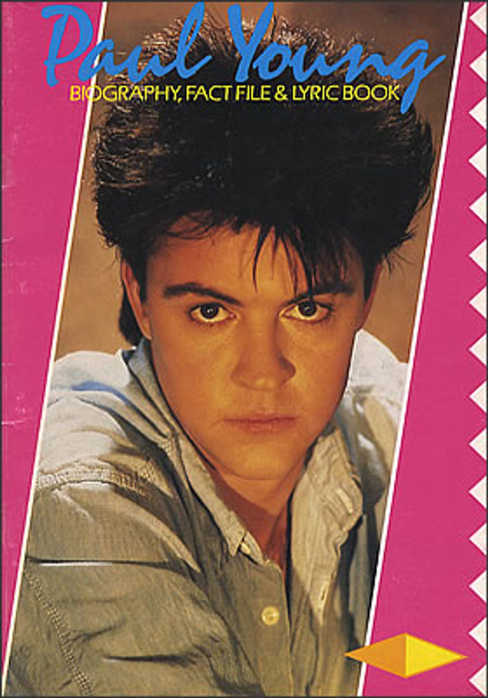 Paul Young Biography, Fact Files & Lyric Book UK tour programme TOUR PROGRAMME