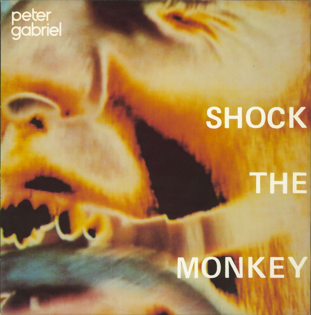 Peter Gabriel Shock The Monkey UK 12" vinyl single (12 inch record / Maxi-single) SHOCK12