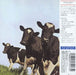 Pink Floyd Atom Heart Mother + 3 Obi Japanese CD album (CDLP) 4988006791732