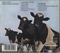 Pink Floyd Atom Heart Mother UK CD album (CDLP) 5099902894027