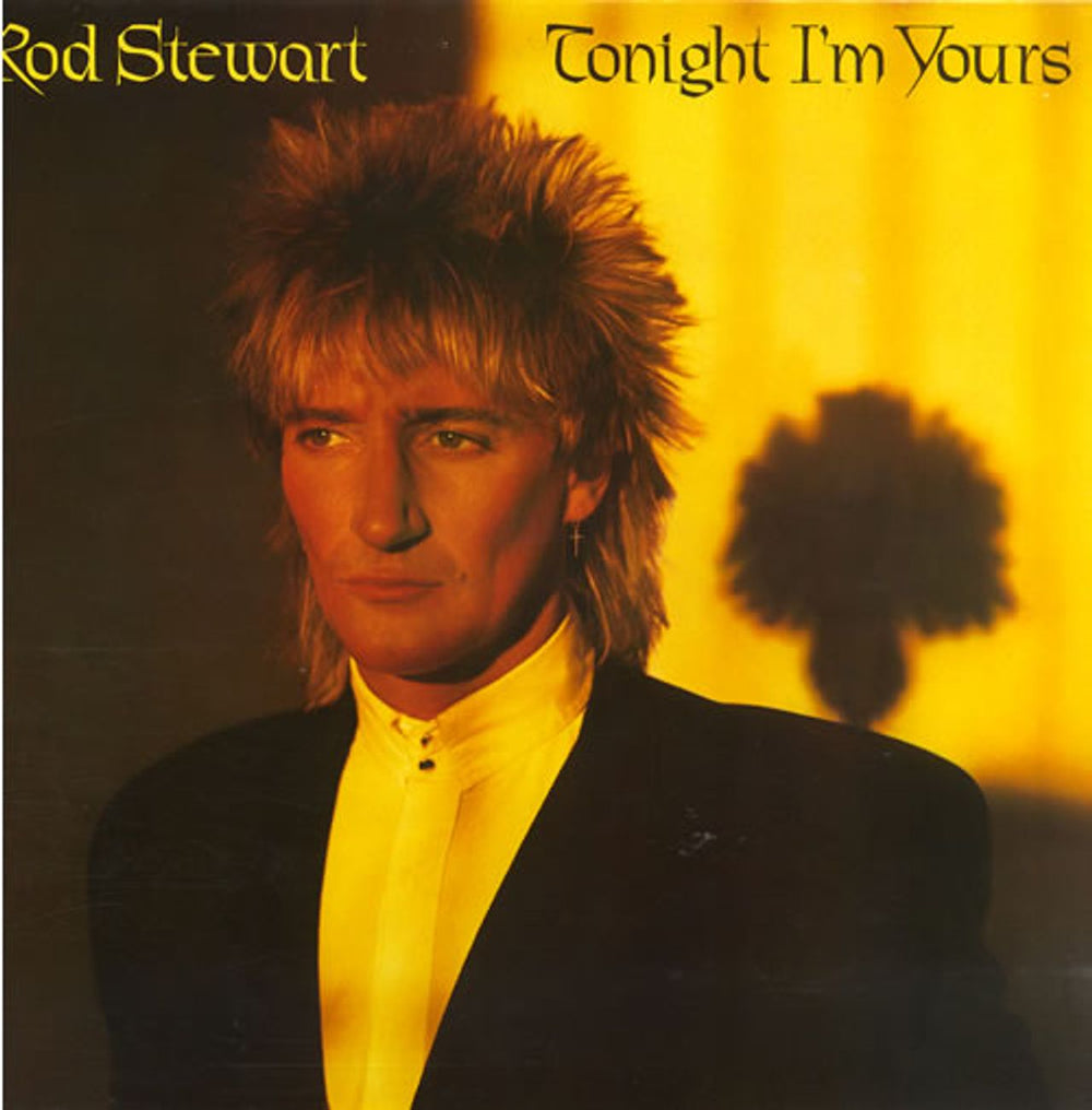 Rod Stewart Tonight I'm Yours German vinyl LP album (LP record) WBK56951