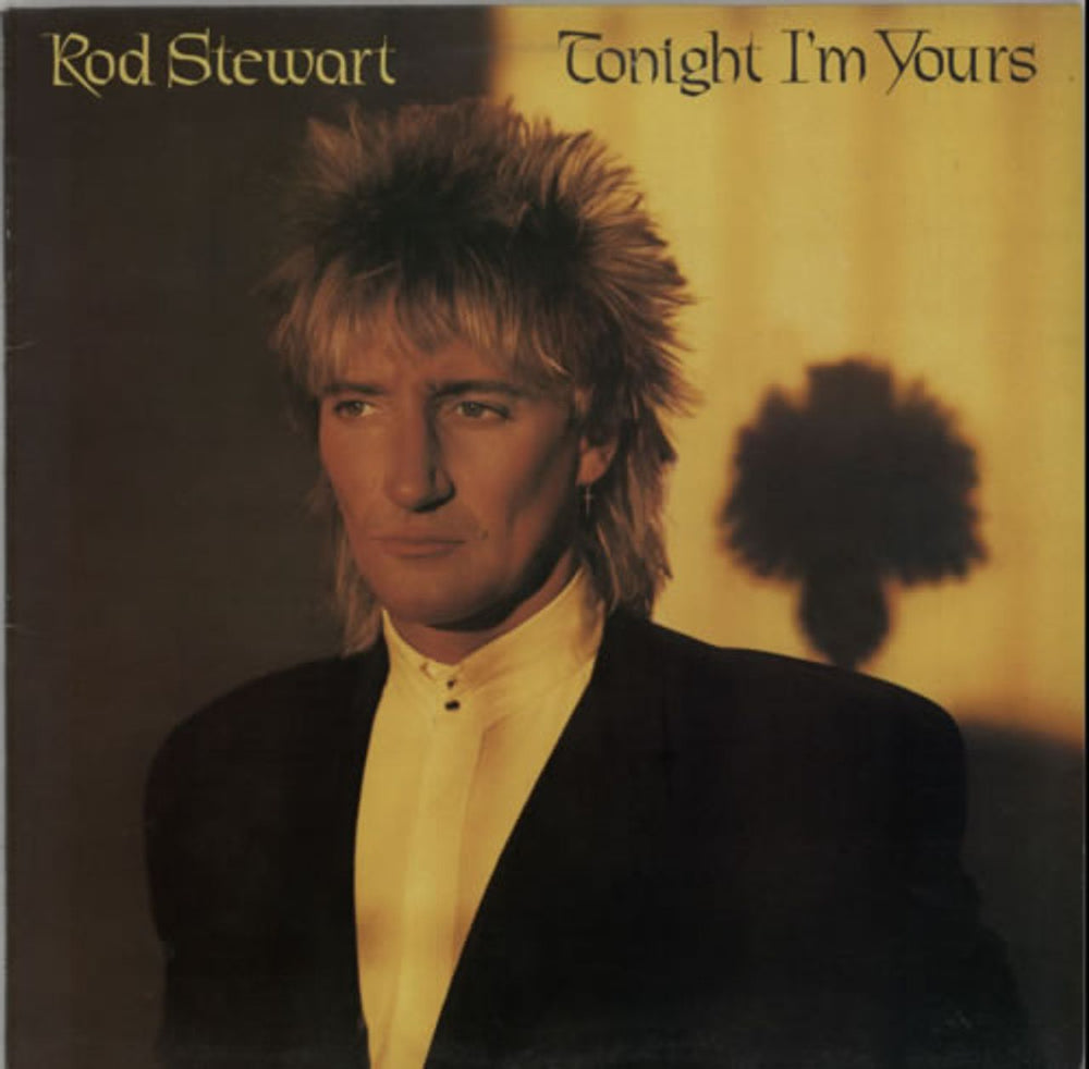 Rod Stewart Tonight I'm Yours UK vinyl LP album (LP record) RVLP14