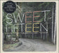 Rough Trade Sweet Fifteen: Rough Trade Publishing 1991 - 2006 UK 2 CD album set (Double CD) RTP15