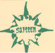 Salteen Greenlight US 7" vinyl single (7 inch record / 45) BING-001