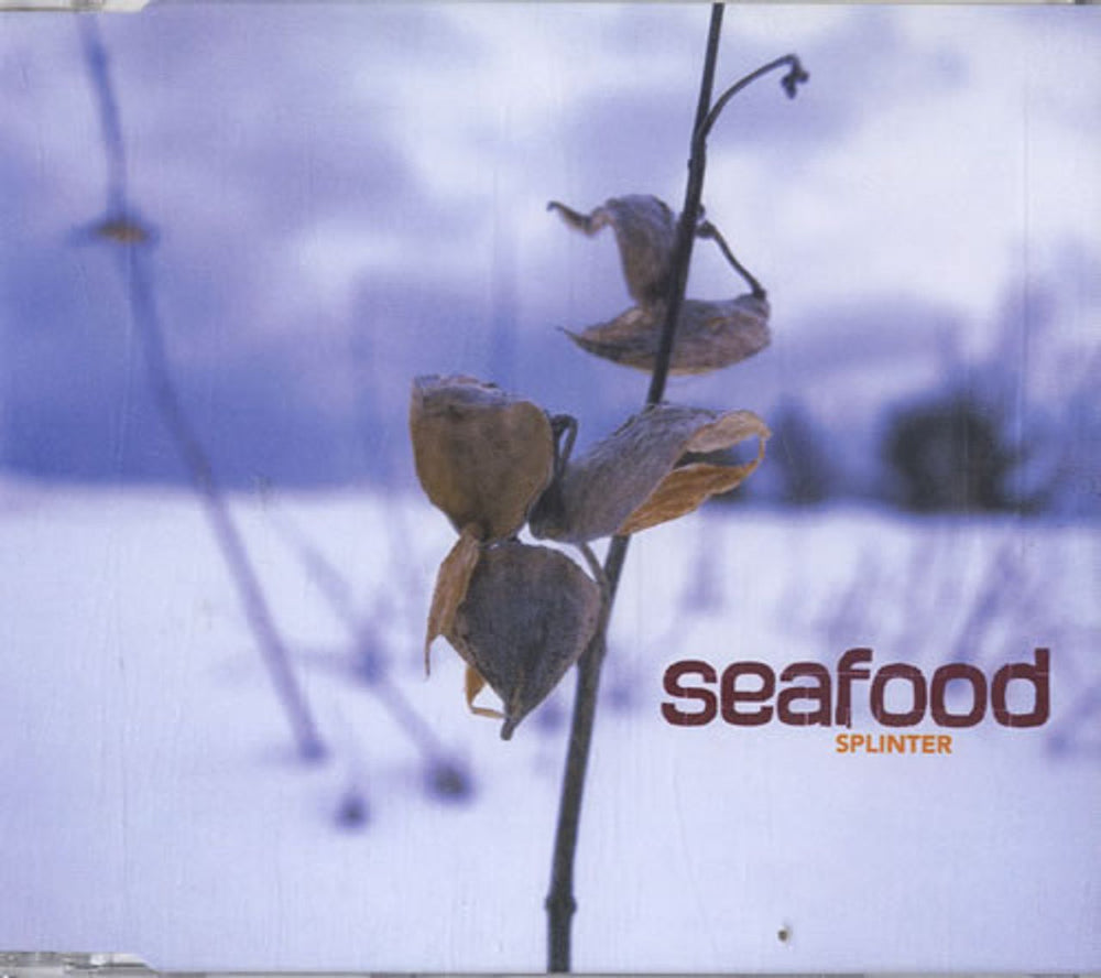 Seafood Splinter UK Promo CD single (CD5 / 5") INFEC104CDS