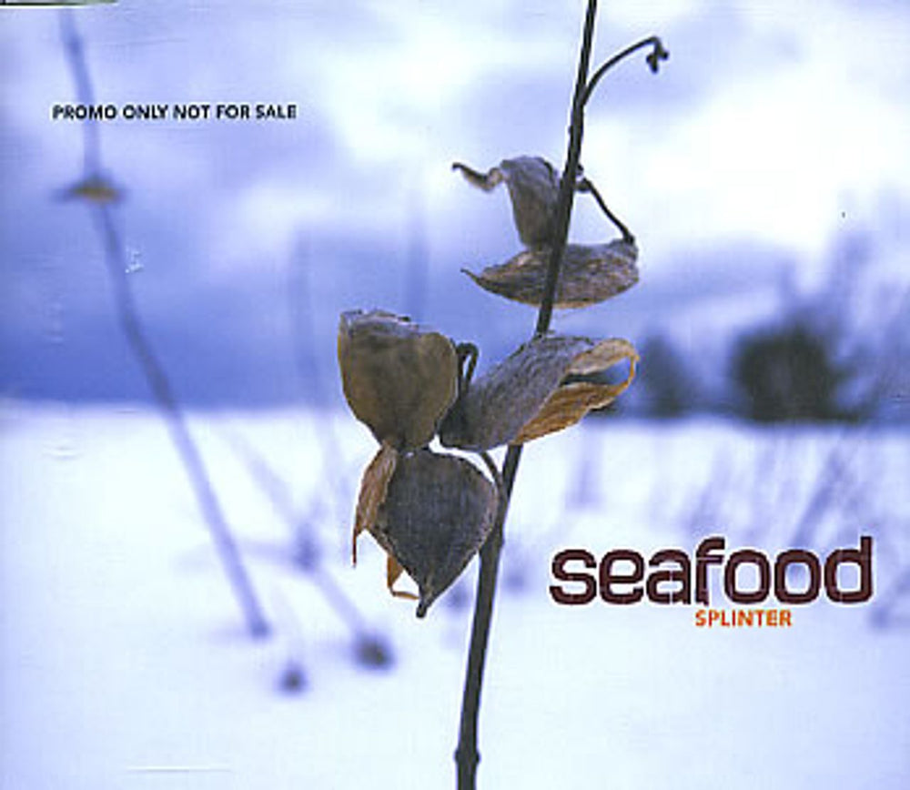 Seafood Splinter UK Promo CD single (CD5 / 5") INFEC104CDSP