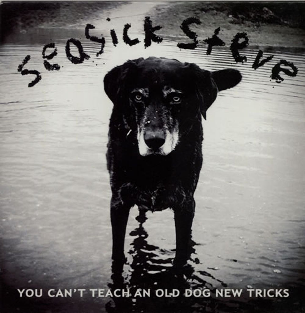 Seasick Steve You Can't Teach An Old Dog New Trick UK Promo CD single (CD5 / 5") PIASR518