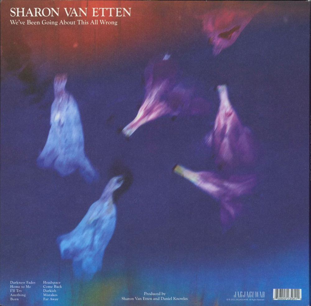 Sharon Van Etten We've Been Going About This All Wrong UK vinyl LP album (LP record) 656605239514