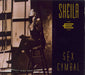 Sheila E Sex Cymbal US CD single (CD5 / 5") 9218482