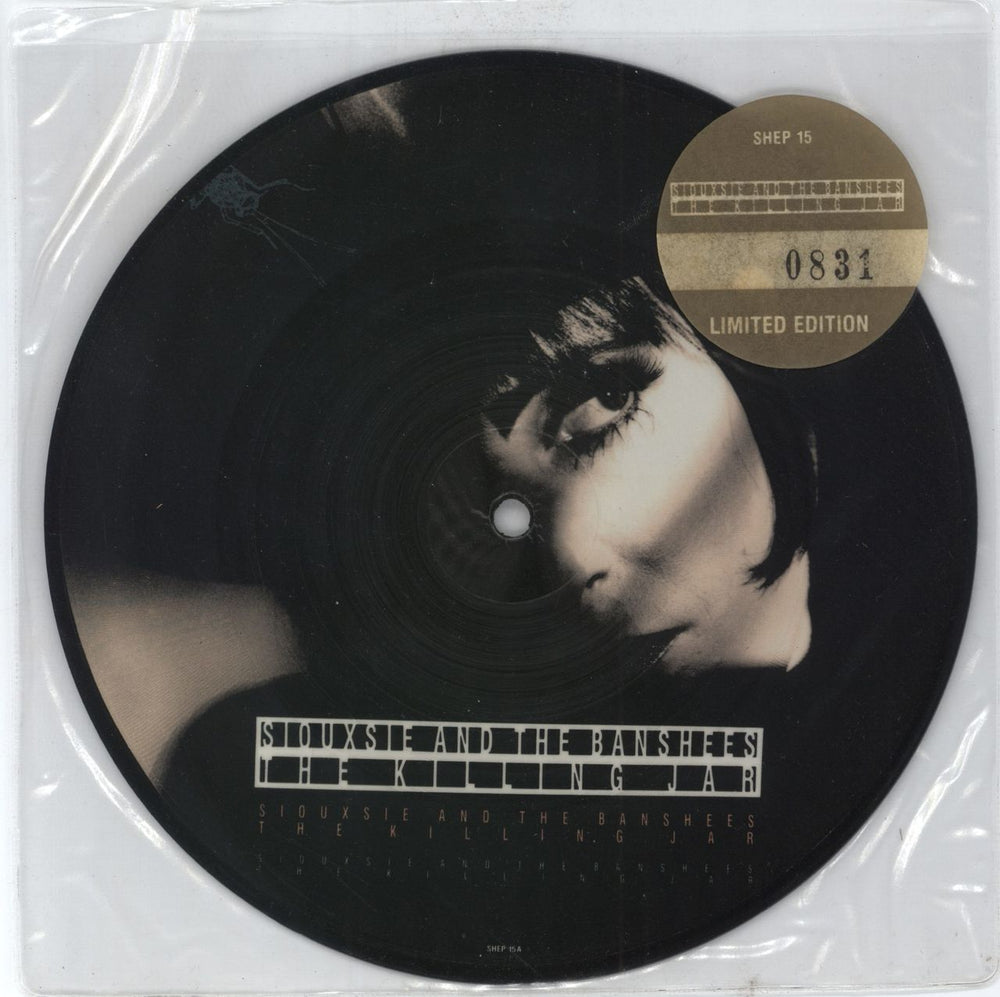 Siouxsie & The Banshees The Killing Jar UK 7" vinyl picture disc (7 inch picture disc single) SHEP15