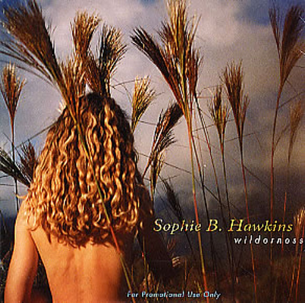 Sophie B Hawkins Wilderness US Promo CD album (CDLP) TS-1001