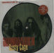 Soundgarden Rusty Cage - Numbered UK 7" vinyl picture disc (7 inch picture disc single) AM874