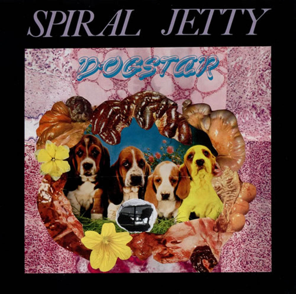 Spiral Jetty Dogstar Dutch vinyl LP album (LP record) ILLUSION018