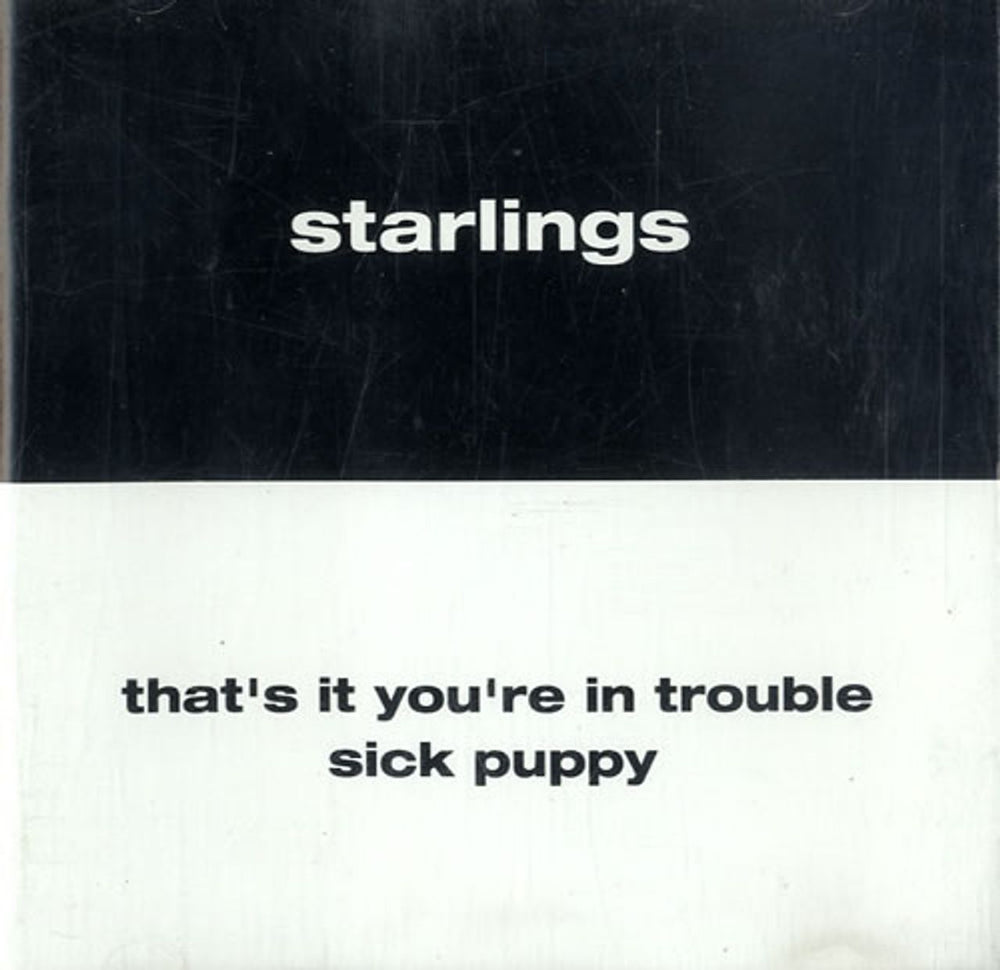 Starlings That's It You're In Trouble UK Promo CD single (CD5 / 5") 1004PCD