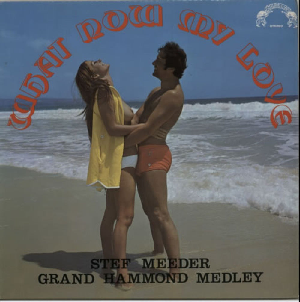 Stef Meeder What Now My Love UK vinyl LP album (LP record) GM2011