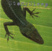 Stonysleep Music For Chameleons UK CD album (CDLP) ABB113CD