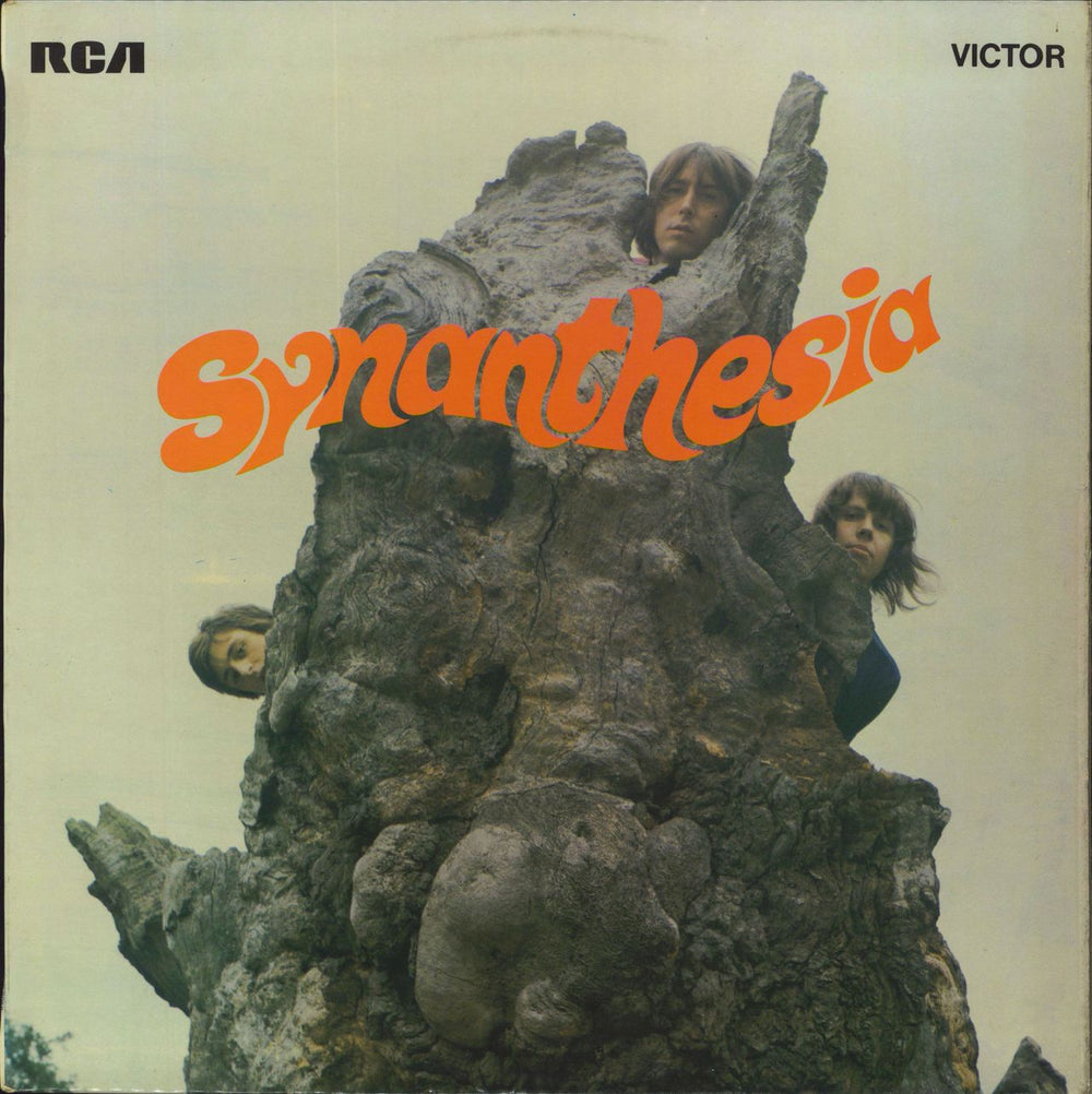 Synanthesia Synanthesia UK vinyl LP album (LP record) SF8058