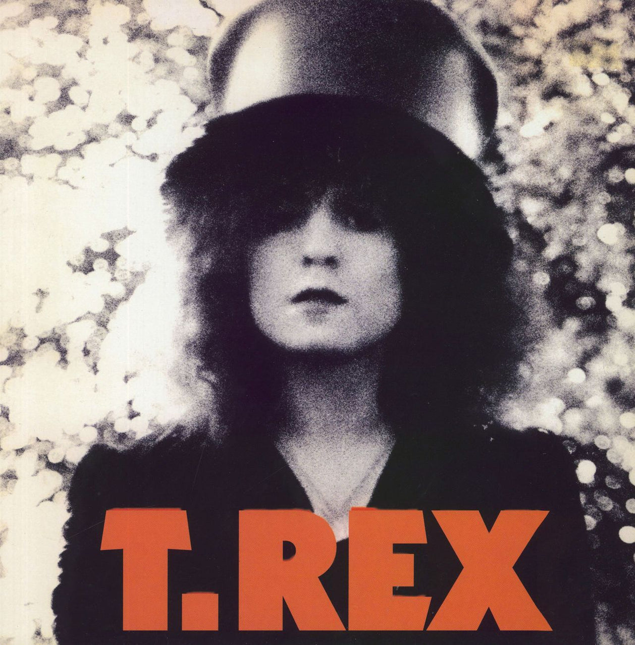 T Rex Tyrannosaurus Rex The Slider Italian Vinyl Lp —