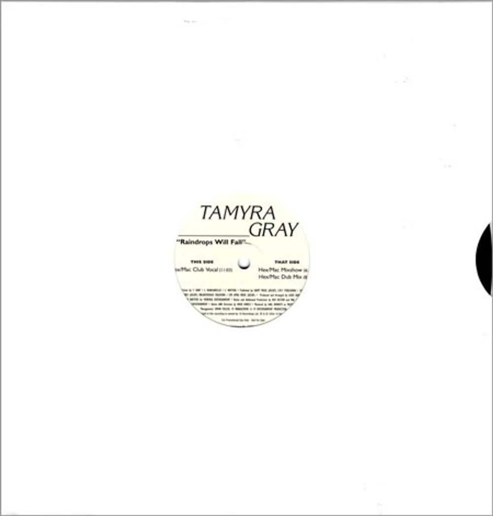 Tamyra Gray Raindrops Will Fall - Hex Hector Remixes US Promo 12" vinyl single (12 inch record / Maxi-single) 19RP006