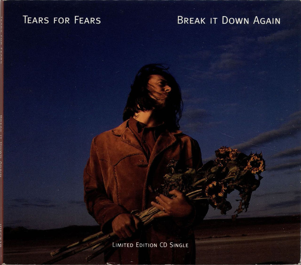 Tears For Fears Break It Down Again UK CD single (CD5 / 5") IDECX18