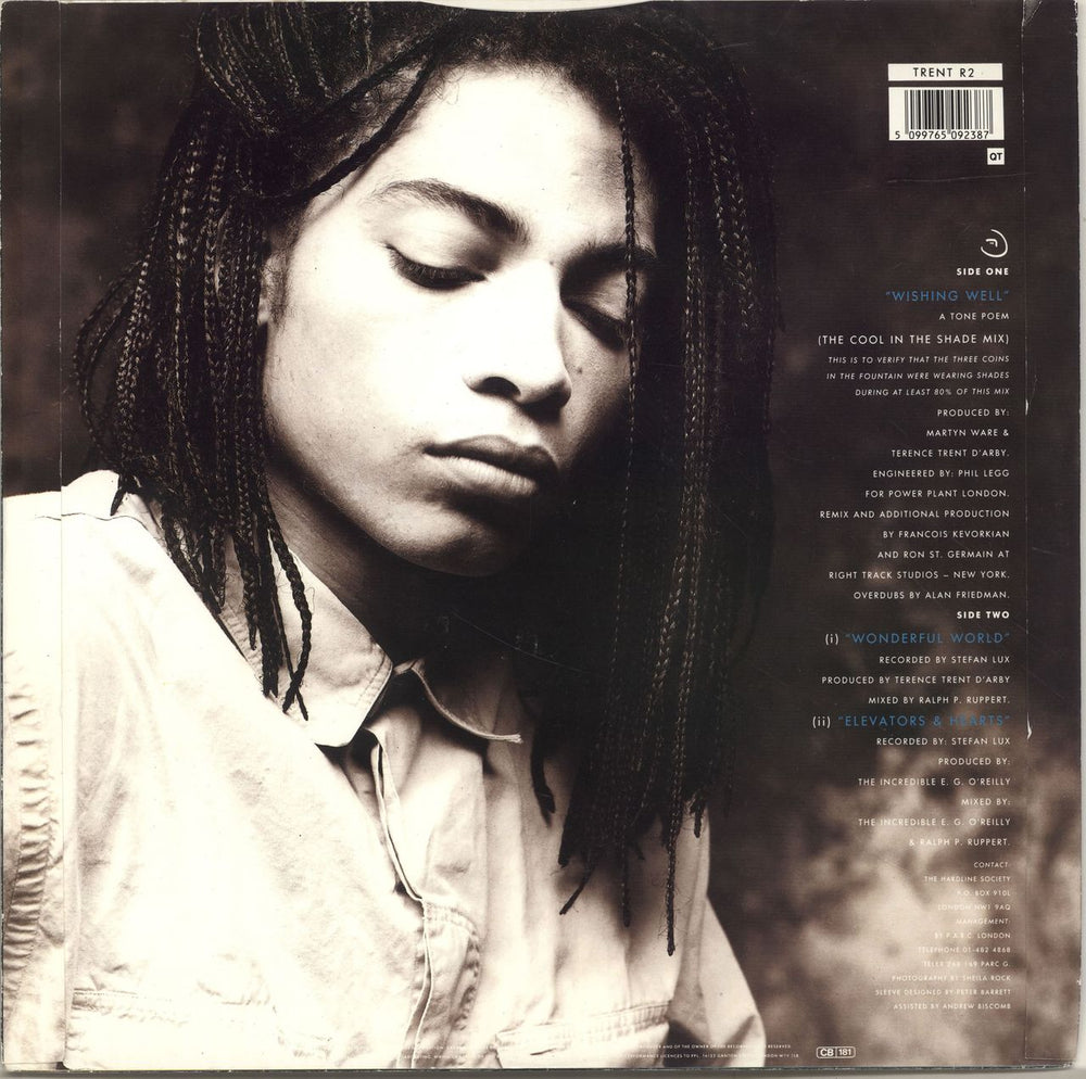 Terence Trent D'Arby Wishing Well - The Cool In The Shade Mix UK 12" vinyl single (12 inch record / Maxi-single) 5099765092387