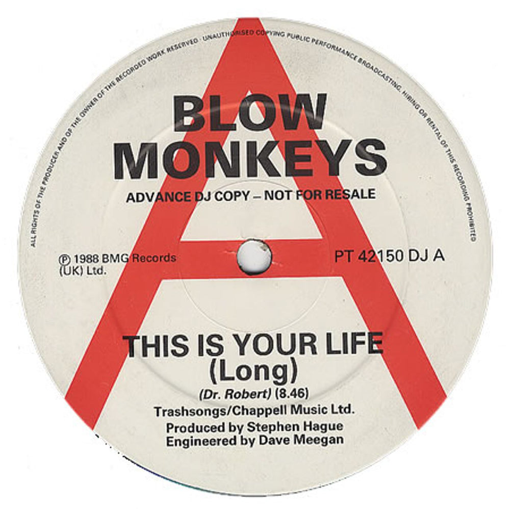 The Blow Monkeys This Is Your Life (Long) UK Promo 12" vinyl single (12 inch record / Maxi-single) PT42150DJ