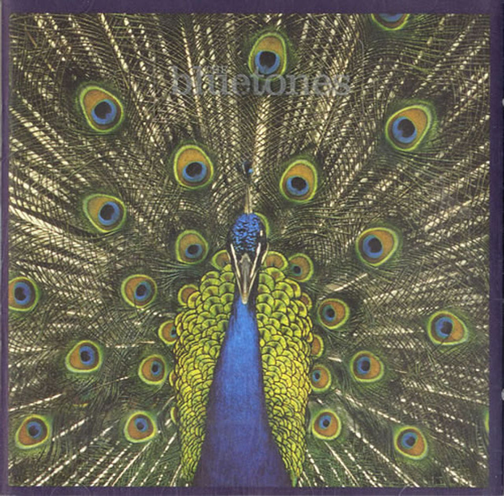 The Bluetones Expecting To Fly UK CD album (CDLP) BLUECD004