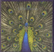 The Bluetones Expecting To Fly UK CD album (CDLP) BLUECD004