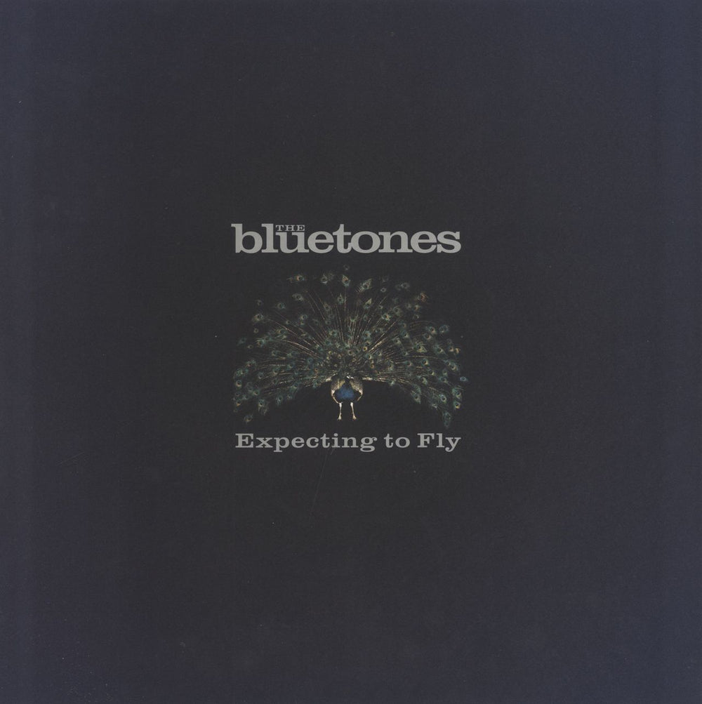 The Bluetones Expecting To Fly - Un-numbered UK vinyl LP album (LP record)