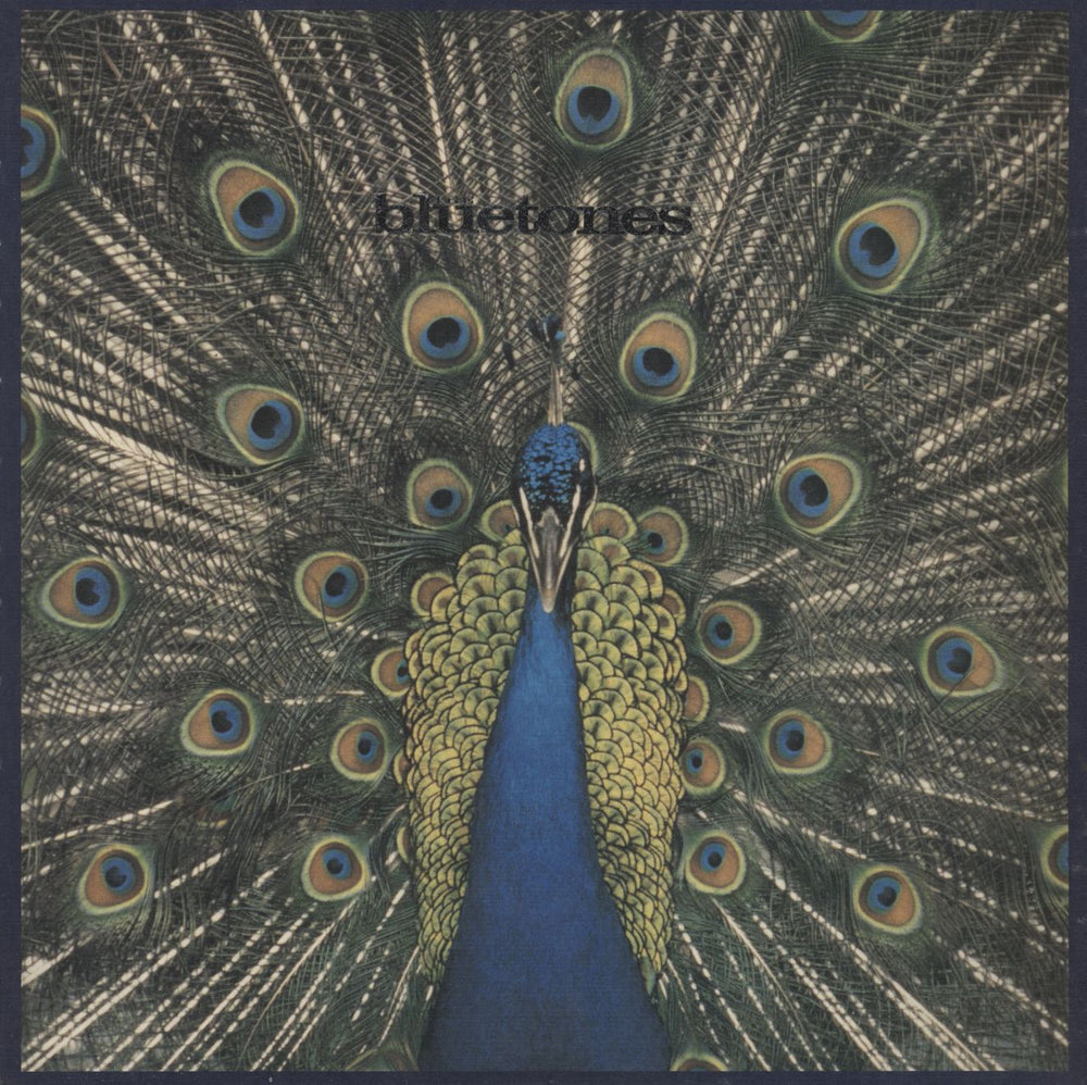 The Bluetones Expecting To Fly - Un-numbered UK vinyl LP album (LP record) BLUELP004