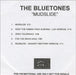 The Bluetones Mudslide UK Promo CD-R acetate CD ACETATE