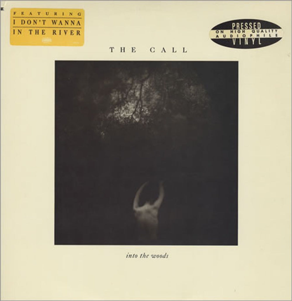 The Call Into The Woods US Promo vinyl LP album (LP record) 960739-1