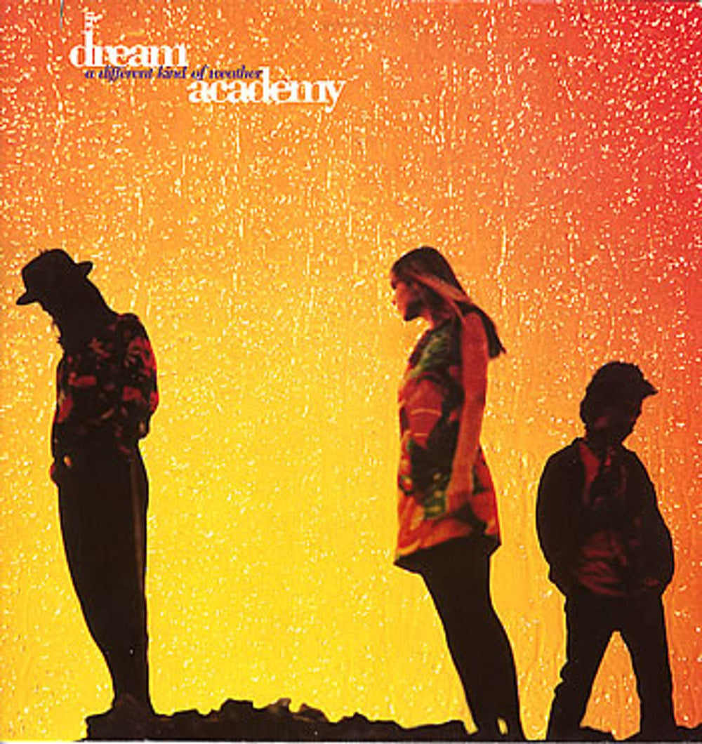 The Dream Academy A Different Kind Of Weather UK vinyl LP album (LP record) BYN23