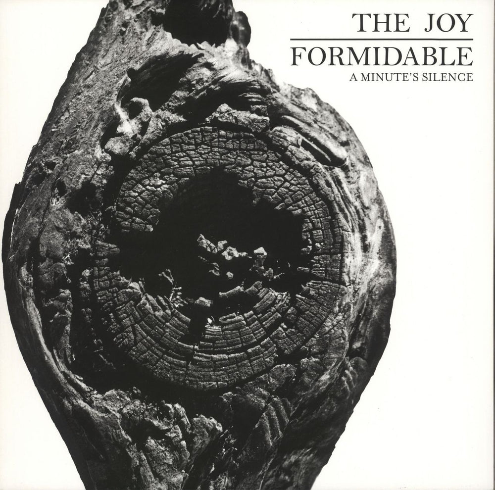 The Joy Formidable A Minute's Silence UK 12" vinyl single (12 inch record / Maxi-single) 7567-99548-4