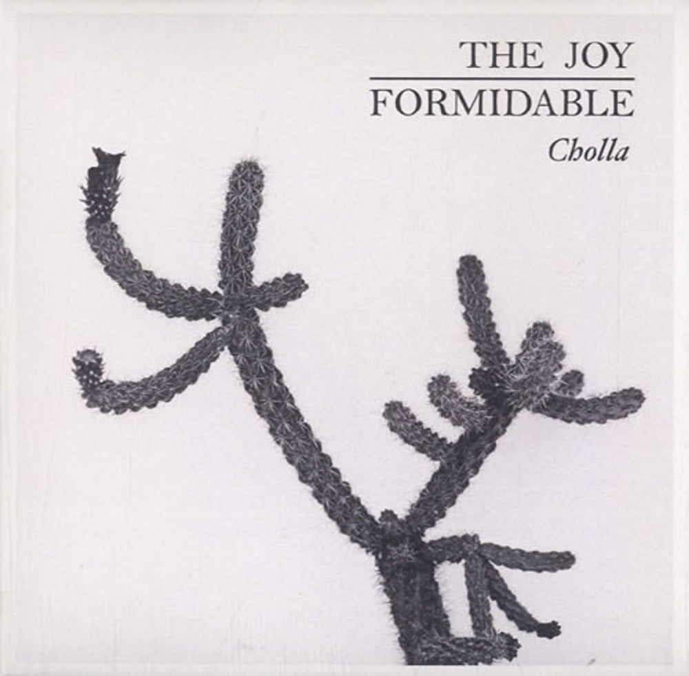 The Joy Formidable Cholla UK Promo CD-R acetate