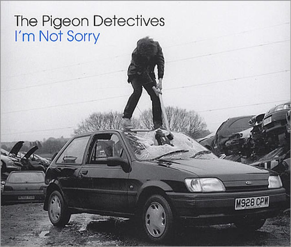 The Pigeon Detectives I'm Not Sorry UK CD single (CD5 / 5") DTTR029CDS