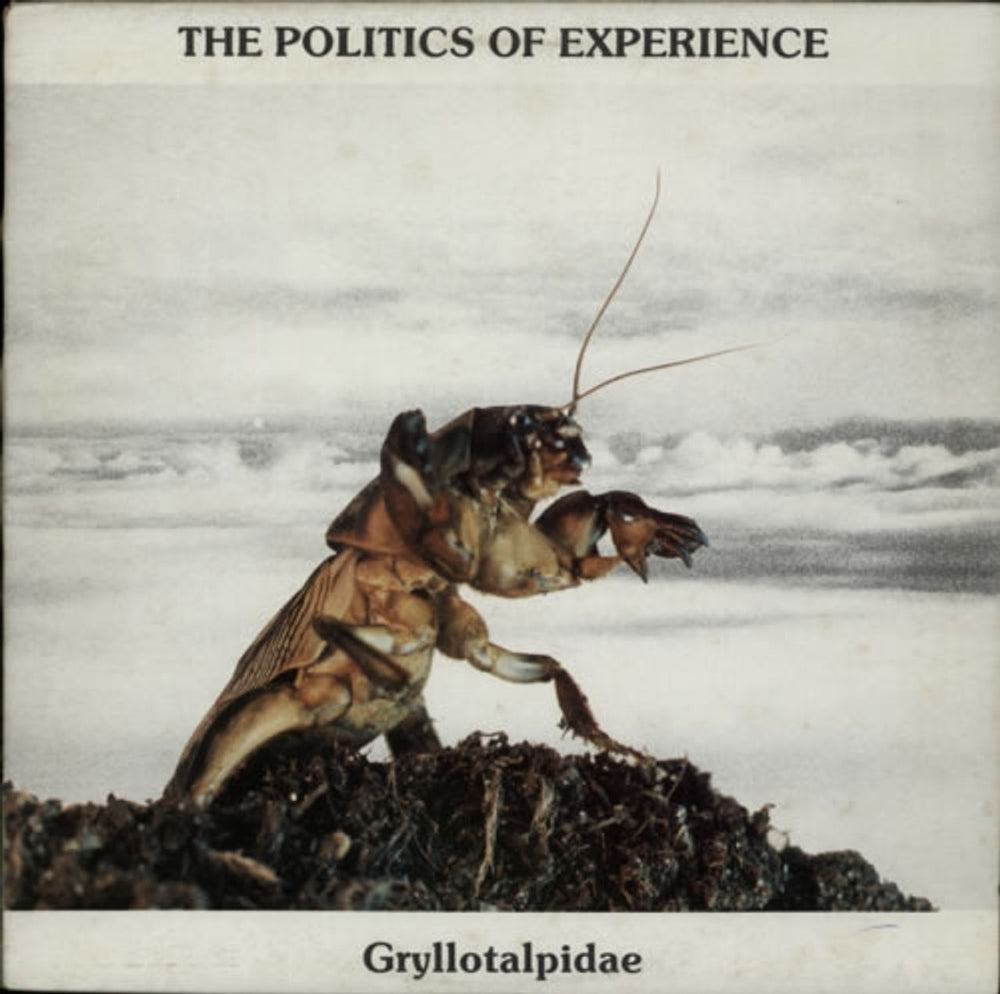 The Politics Of Experience Gryllotalpidae Belgian vinyl LP album (LP record) KK010