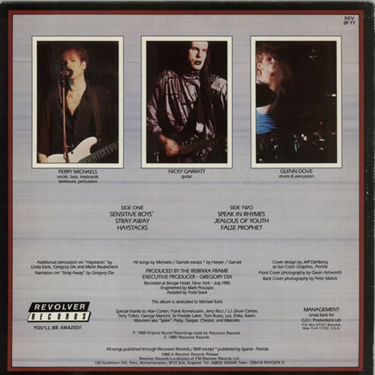 Michaels vinyl deals frame