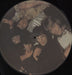 The Rolling Stones The Rolling Stones - EX French picture disc LP (vinyl picture disc album) ROLPDTH720136