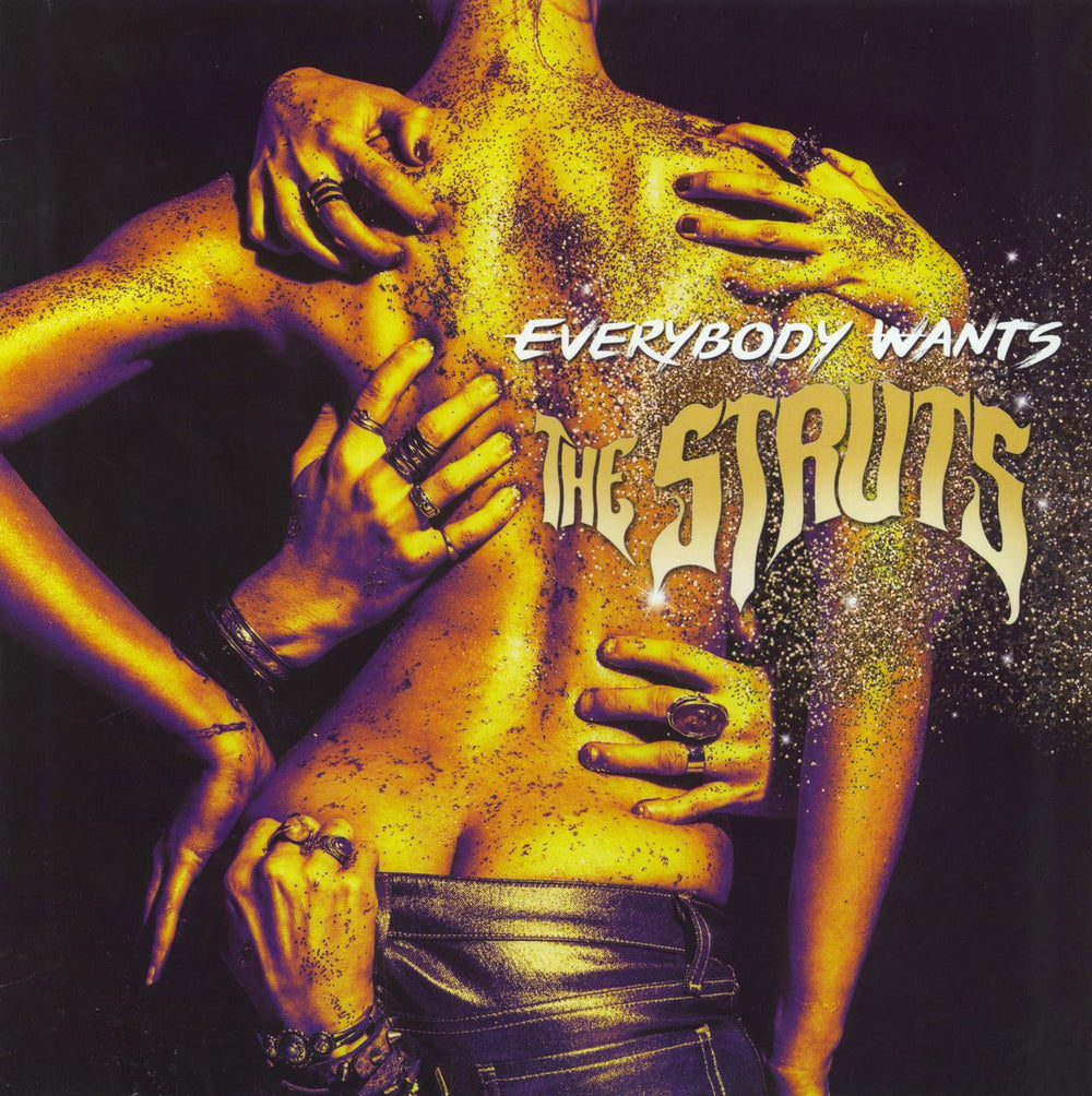 The Struts Everybody Wants US vinyl LP album (LP record) B0024604-01