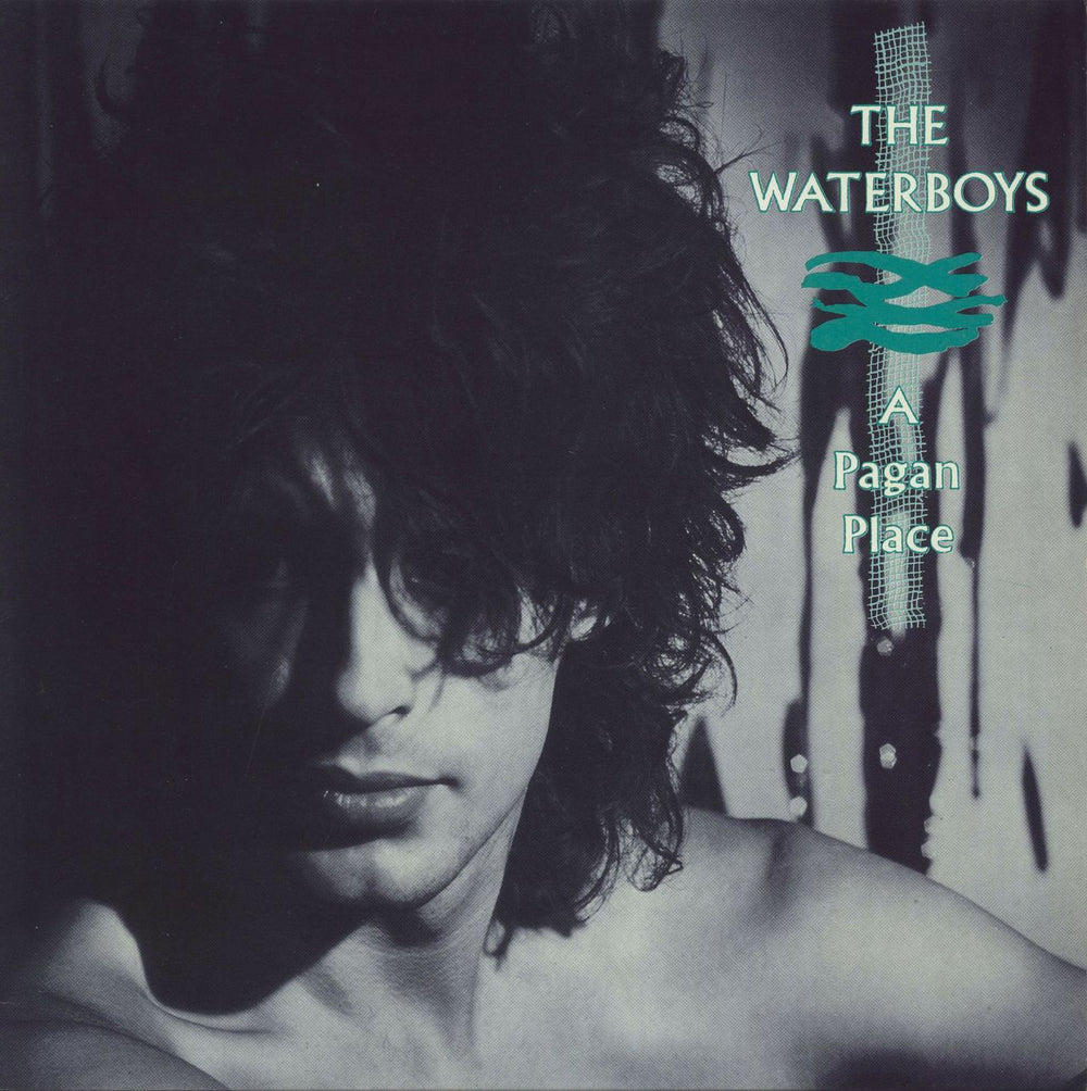 The Waterboys A Pagan Place UK vinyl LP album (LP record) ENCL3