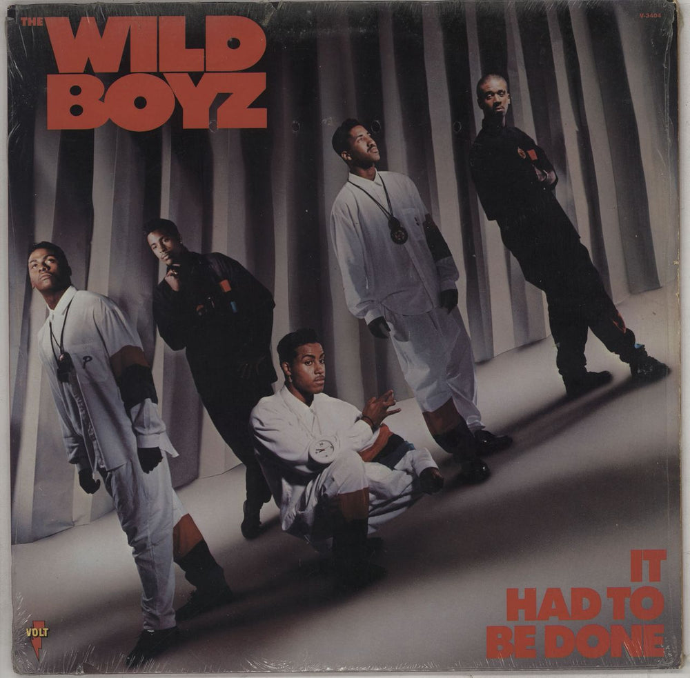 The Wild Boyz It Had To Be Done US vinyl LP album (LP record) V-3404