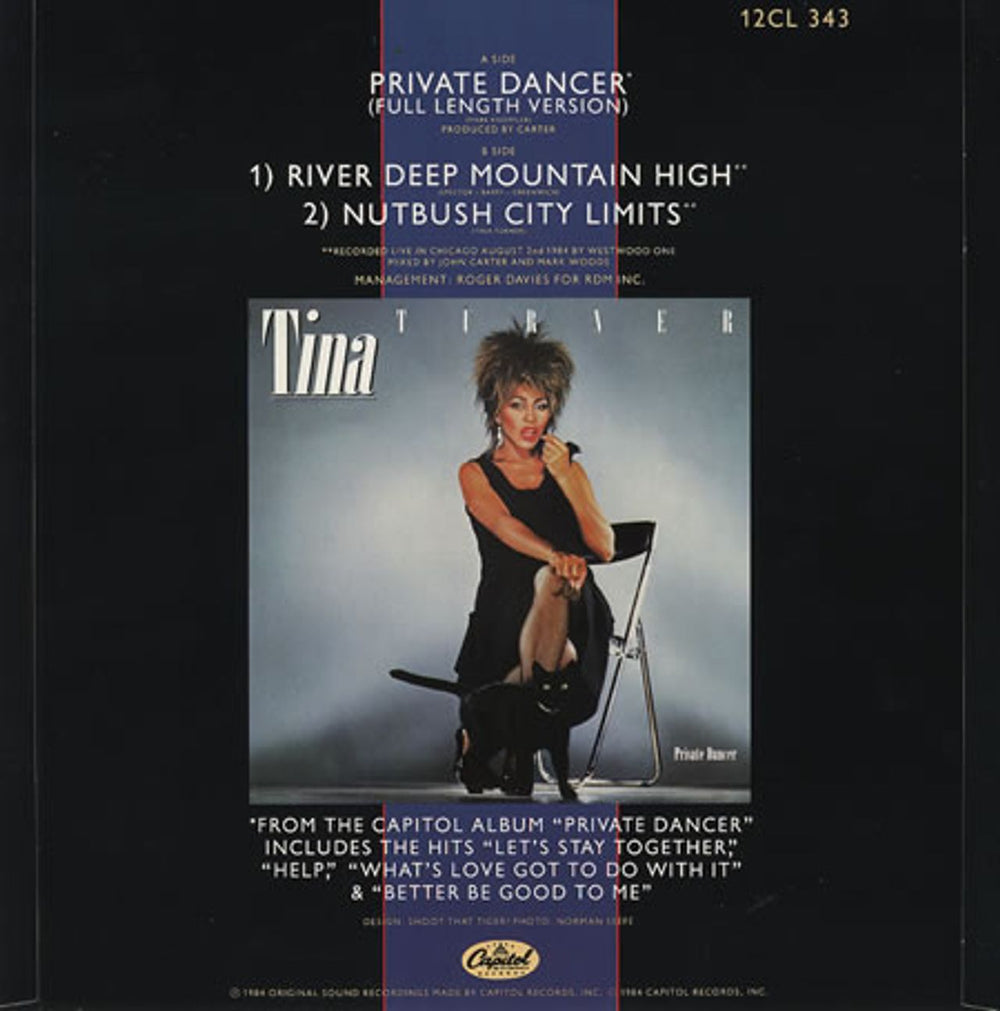 Tina Turner Private Dancer UK 12" vinyl single (12 inch record / Maxi-single) TUR12PR34247