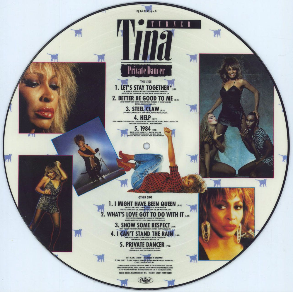 Tina Turner Private Dancer UK picture disc LP (vinyl picture disc album) TINAP1