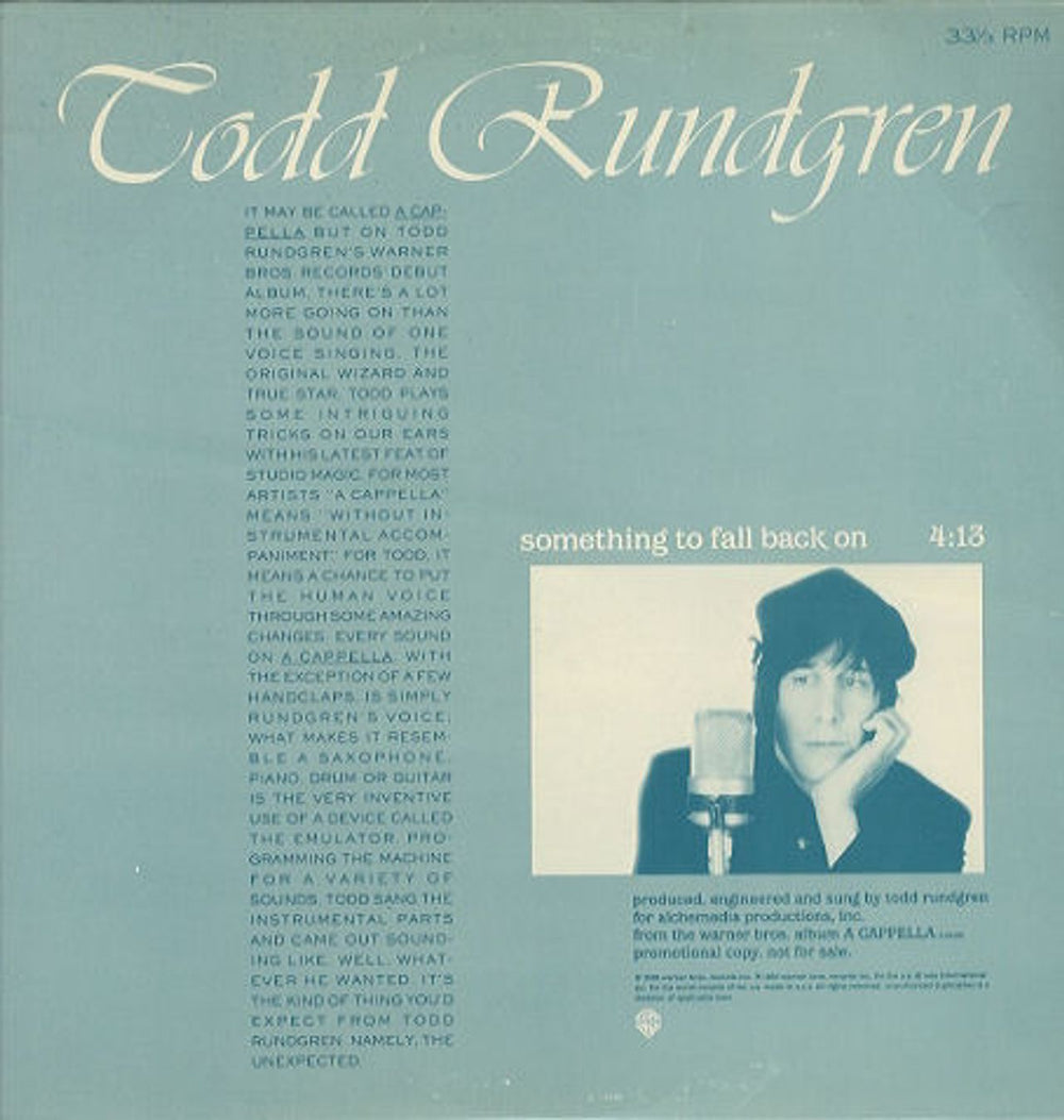 Todd Rundgren Something To Fall Back On US Promo 12" vinyl single (12 inch record / Maxi-single) PRO-A-2371