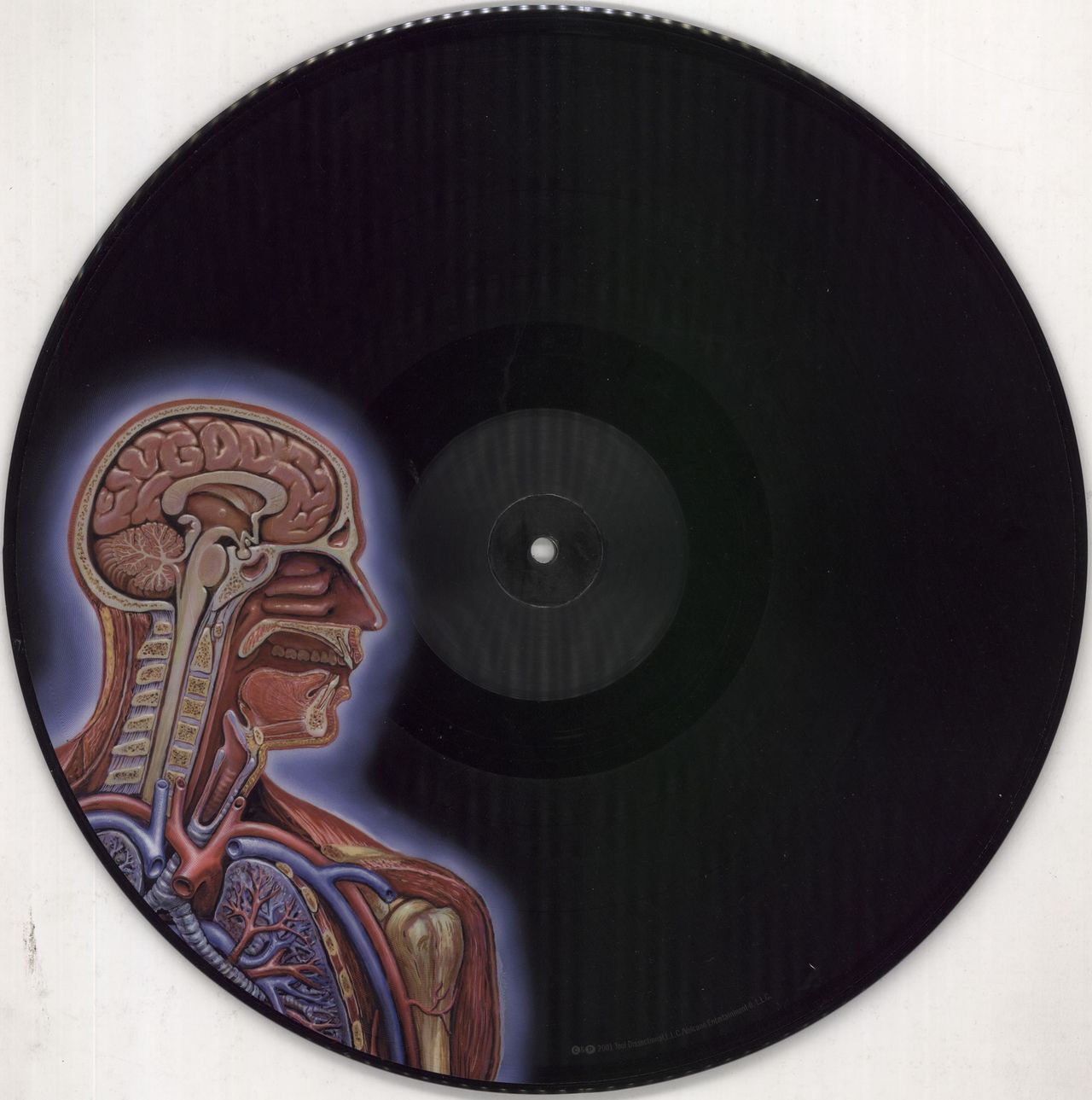 Tool Lateralus - EX US Picture disc LP — RareVinyl.com