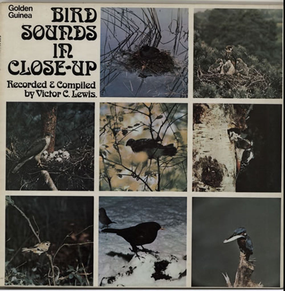 Various-Nature, Birds, Whales & Wildlife Bird Sounds In Close-Up UK vinyl LP album (LP record) GGL0483