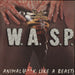 WASP Animal (F**k Like A Beast) UK 12" vinyl single (12 inch record / Maxi-single) 12KUT109