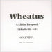 Wheatus A Little Respect UK Promo CD-R acetate CD ACETATE