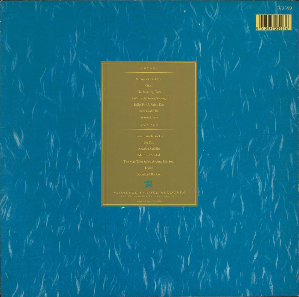 XTC Skylarking - EX UK vinyl LP album (LP record) 5012981239916